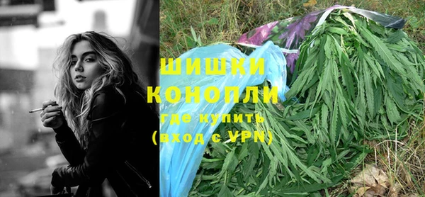 крисы Осинники