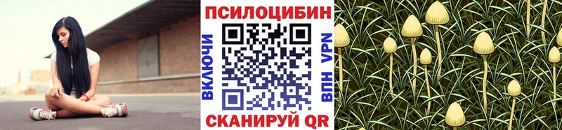 Галлюциногенные грибы MAGIC MUSHROOMS  где купить наркотик  Чита 