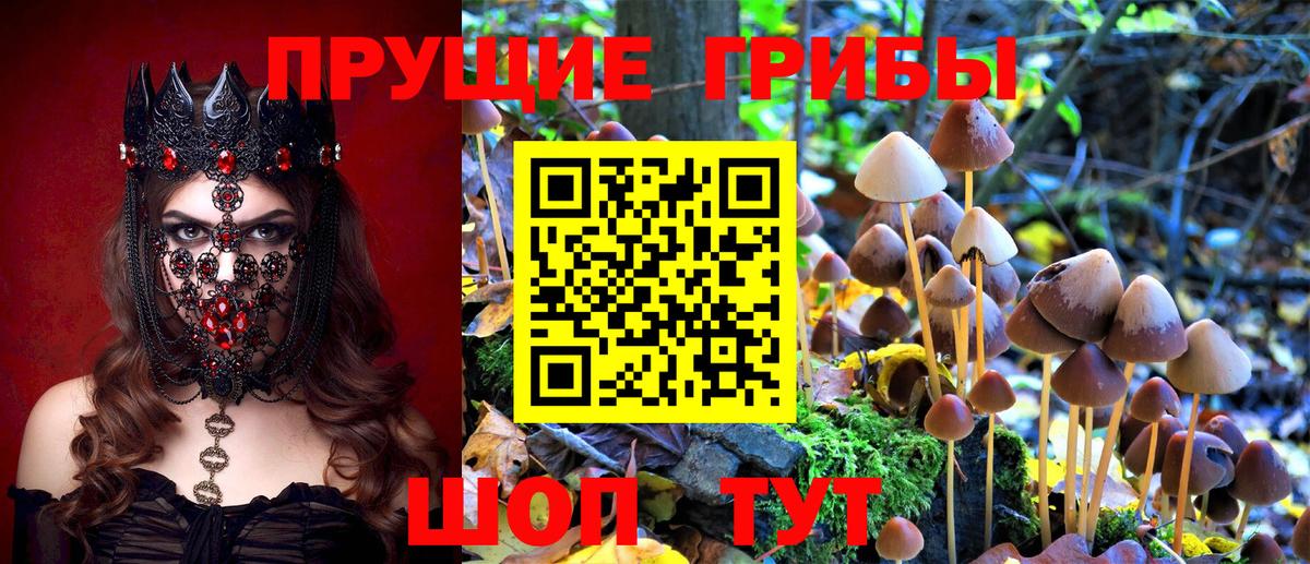 Псилоцибиновые грибы мухоморы Чита